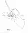 Fig. 02 - Alignment feature for hub and driveshaft assembly