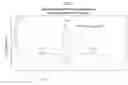 Fig. 07 - METHOD OF TREATING HEPATITIS VIRUS INFECTION WITH A MULTIPHASIC INTERFERON DELIVERY PROFILE