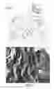 Fig. 02 - Aqueous Cosmetic Composition, Especially for Use as Moisturizing Lotions