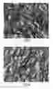 Fig. 03 - Aqueous Cosmetic Composition, Especially for Use as Moisturizing Lotions