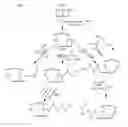 Fig. 02 - Stabilized, sterilized collagen scaffolds with active adjuncts attached
