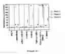 Fig. 06 - Tissue engineering methods and compositions