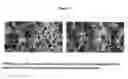 Fig. 06 - Kinase inhibitors