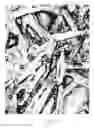 Fig. 07 - Biocompatible hydrogel compositions