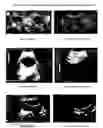 Fig. 08 - Synergistic phytoceutical compositions