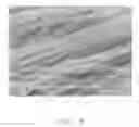 Fig. 09 - Method for making individually coated and twisted carbon nanotube wire-like structure
