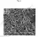 Fig. 06 - Carbon nanotube composite structure and method of manufacturing the same