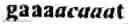Fig. 02 - Determining a predisposition to cancer