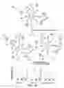 Fig. 02 - Aptamer- and nucleic acid enzyme-based systems for simultaneous detection of multiple analytes