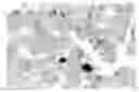 Fig. 01 - Method for prediction of sensitivity to 5-fluorouracil-type anticancer agent