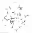 Fig. 07 - Method for prediction of sensitivity to 5-fluorouracil-type anticancer agent