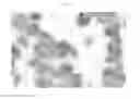 Fig. 08 - Method for prediction of sensitivity to 5-fluorouracil-type anticancer agent