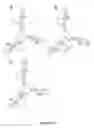 Fig. 04 - Functional nucleic acid ligands to fluorescent proteins