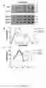 Fig. 06 - Functional nucleic acid ligands to fluorescent proteins