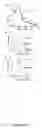 Fig. 07 - Functional nucleic acid ligands to fluorescent proteins
