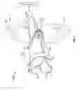Fig. 09 - Hand, Wrist and Arm Therapy and Exercising