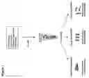 Fig. 02 - Liquid tissue preparation from histopathologically processed biological samples, tissues and cells