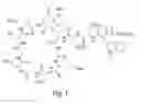 Fig. 02 - Methods for preparing purified lipopeptides