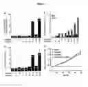 Fig. 05 - METHODS AND COMPOSITIONS OF TREATING CANCER