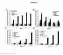 Fig. 07 - METHODS AND COMPOSITIONS OF TREATING CANCER