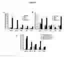 Fig. 09 - METHODS AND COMPOSITIONS OF TREATING CANCER
