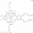Fig. 25 - METHODS AND COMPOSITIONS OF TREATING CANCER