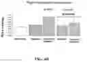 Fig. 07 - COMPOSITIONS AND METHODS FOR TREATING PULMONARY HYPERTENSION