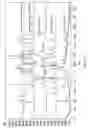 Fig. 02 - SALTS OF N-HYDROXY-3-[4-[[[2-(2-METHYL-1H-INDOL-3-YL)ETHYL]AMINO]METHYL]PHENYL]-2E-2-PROPENAMIDE