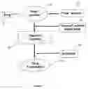 Fig. 02 - COMPOSITIONS FORMULATED FOR SOLVENT-REGULATED DRUG RELEASE
