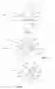 Fig. 20 - BONE PROSTHESIS