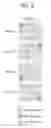 Fig. 07 - Method of transmitting ACK/NACK signal in wireless communication system
