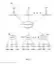 Fig. 02 - SYSTEM FOR PROVIDING ADVERTISEMENTS ACROSS MULTIPLE CHANNELS