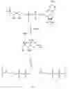 Fig. 04 - Non-mevalonate isoprenoid pathway