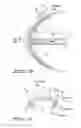 Fig. 08 - Anti-icing apparatus and method for aero-engine nose cone