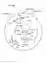 Fig. 01 - Circular Saw Blade With Elliptical Gullets
