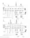 Fig. 29 - BIOMASS BURNER SYSTEM