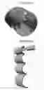 Fig. 08 - LAYER IT DRY ROLLER