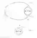 Fig. 08 - Food Container With a Holder for a Condiment Cup