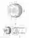 Fig. 02 - Dispensing apparatus
