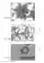 Fig. 09 - Making a structure