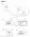 Fig. 09 - Wide band vibrational stimulus device