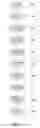 Fig. 06 - Authenticity Determination