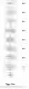 Fig. 09 - Authenticity Determination
