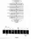 Fig. 24 - Printing method, printing system and method for determining correction value