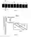 Fig. 25 - Printing method, printing system and method for determining correction value