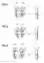 Fig. 02 - Imaging optical system and imaging apparatus comprising the same