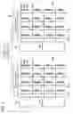 Fig. 08 - Semiconductor memory device including a reference cell