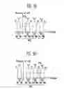 Fig. 09 - Erase method of flash memory device
