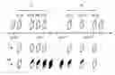Fig. 01 - Splicing MPEG streams comparing offset and reference time value