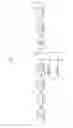 Fig. 02 - Digital television transmission and receiving apparatus and method using 1/4 rate coded robust data